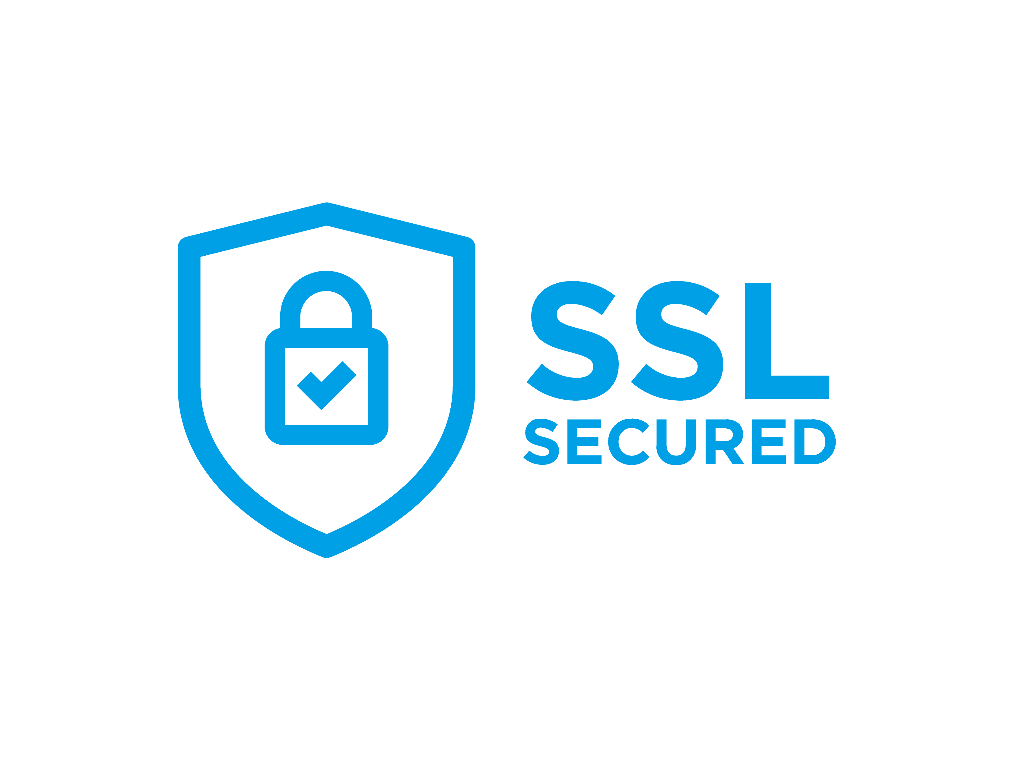 SSL Icon